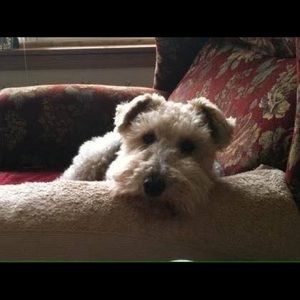 Meet your Posher, Toni